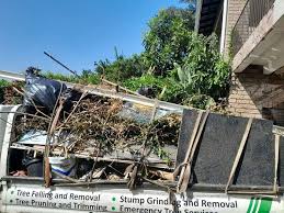 Types of Items We Remove From Your Property in Frankfort, MI